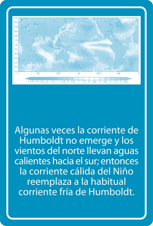 Portada Reverso